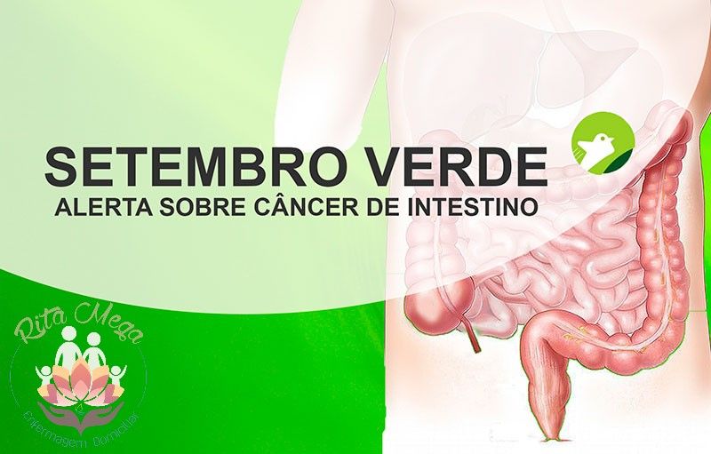 SETEMBRO VERDE - ALERTA SOBRE O CÂNCER DE INTESTINO 